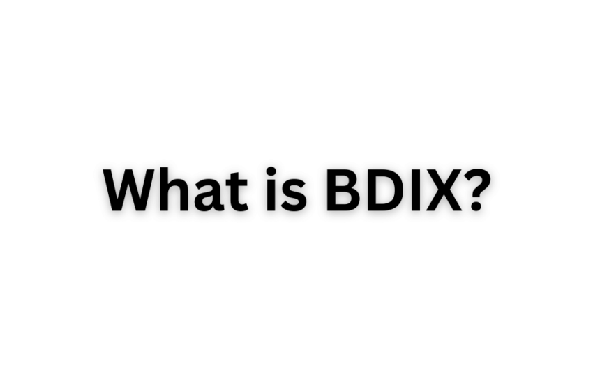 BDIX কি?